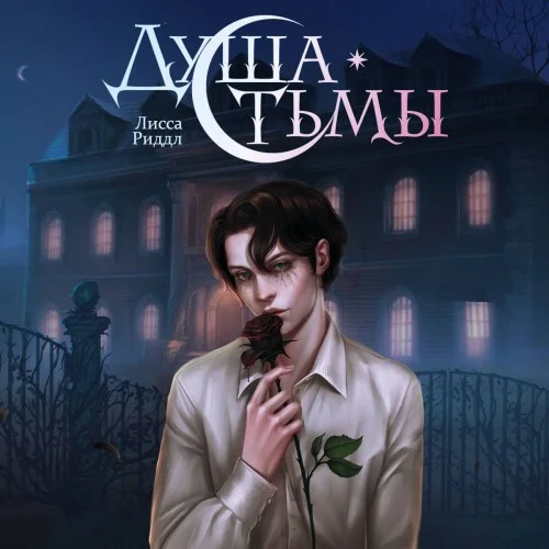 Обложка аудиокниги Душа тьмы автора Риддл Лисса