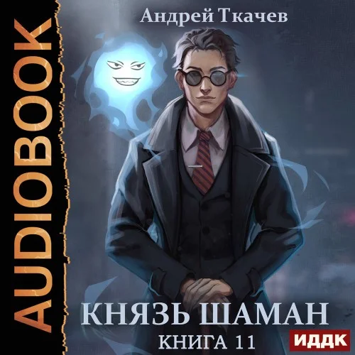 Обложка аудиокниги Князь шаман. Книга 11 автора Ткачев Андрей