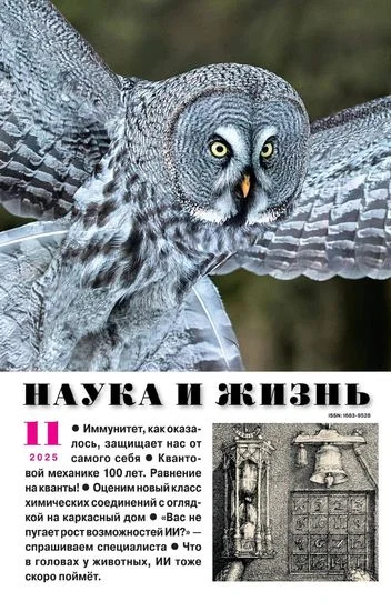 Обложка аудиокниги Наука и жизнь №11 (Ноябрь) (2025)