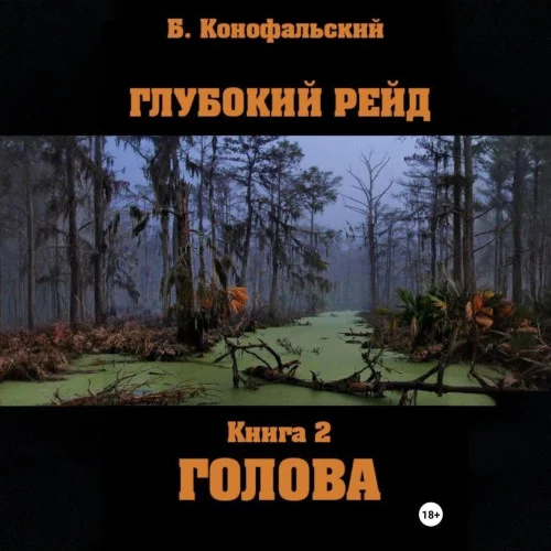 Обложка аудиокниги Глубокий рейд, книга 2 Голова автора Конофальский Борис